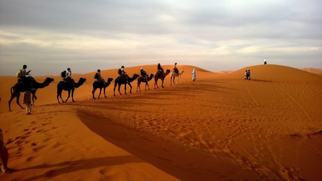 Desert Safari Dubai Group Booking 