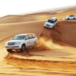 Desert Safari Private Tour