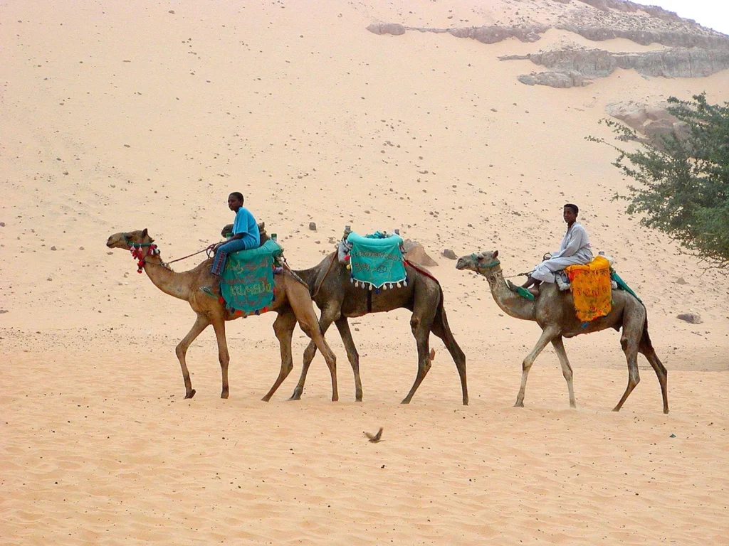 Book Desert Safari Dubai Deals