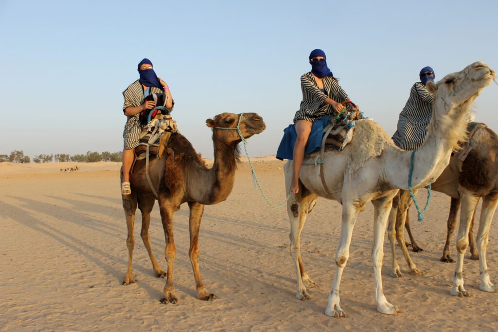 luxury desert safari Dubai booking