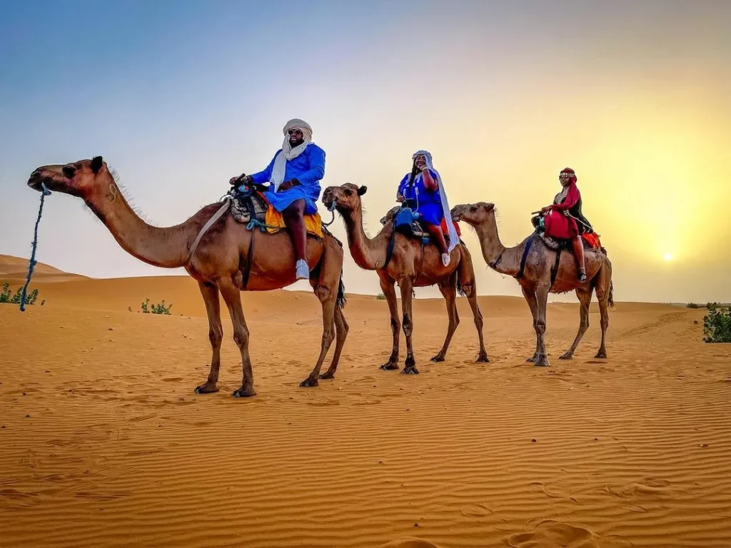 Booking Online Desert Safari Dubai