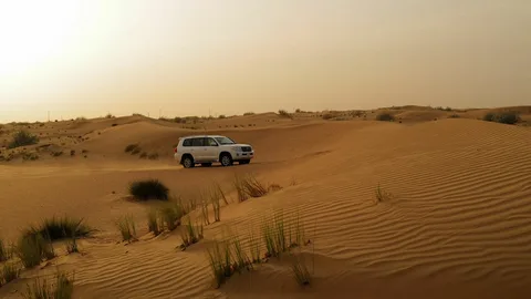 Desert Safari Dubai Booking