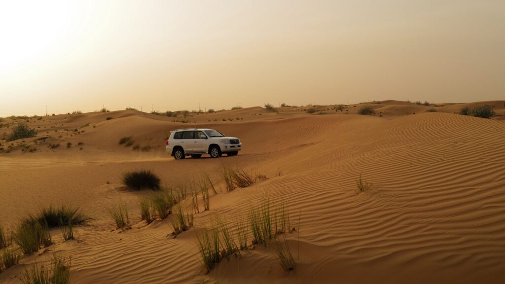 Dubai Desert Safari Booking Online