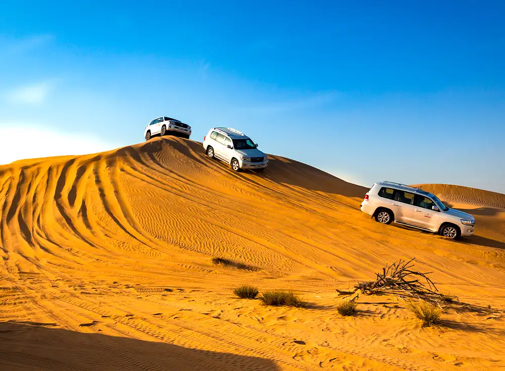 Desert Safari Booking Dubai