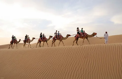 Camel Riding and Sandboarding