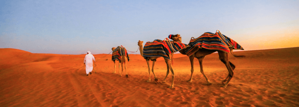 Desert Safari Dubai Photography Tours