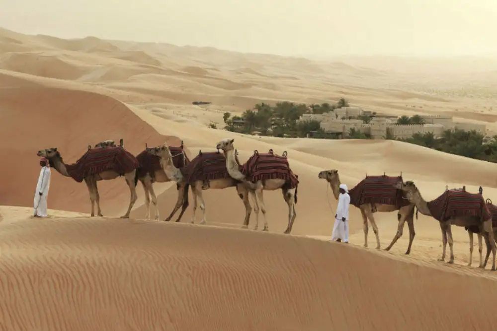 Dubai Desert Safari with Dune Bashing
